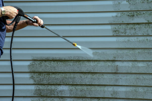 Best Driveway Pressure Washing  in Cressona, PA